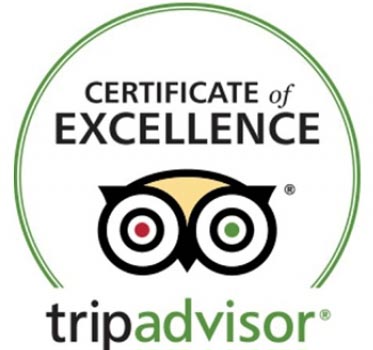 5 star reviews on Trip Advisor